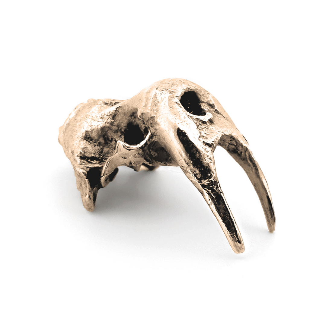 Yellow Bronze Walrus Skull Pendant by Fire & Bone