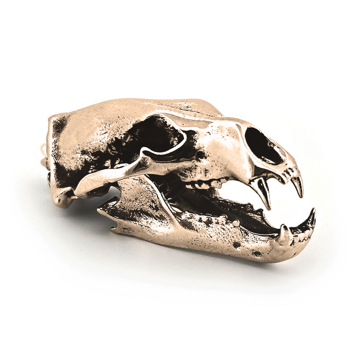 Yellow Bronze Polar Bear Skull Pendant by Fire & Bone