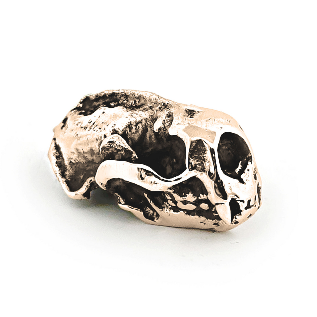 Yellow Bronze Sea Otter Skull Pendant by Fire & Bone
